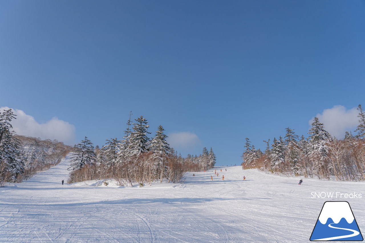 札幌国際スキー場｜積雪100cm超え！名物の急斜面『ダウンヒルコース』を含む、全てのコースが気持ち良～く滑走可能です(^^)/